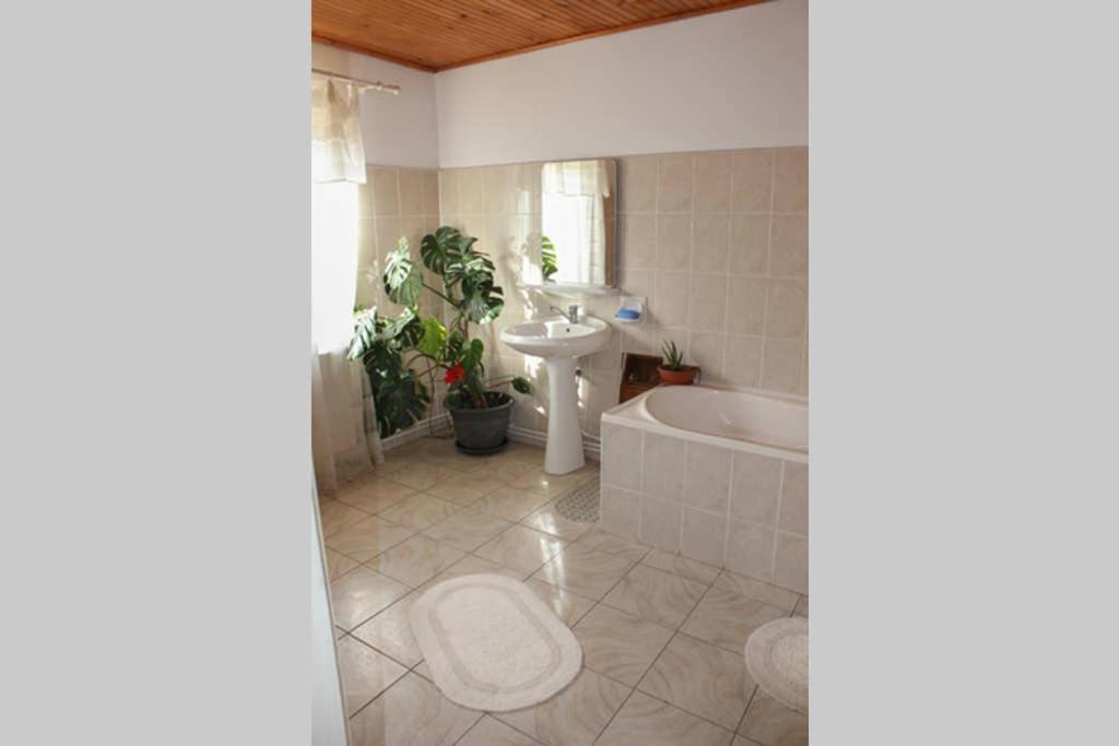 Vila Cozy, Panorama Superba, Gratar Si Relaxare Piatra Neamţ Exterior foto